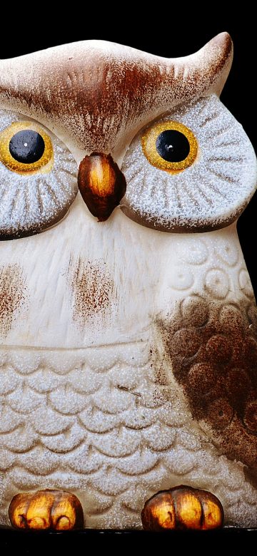 课件网 App 离线缓存管理界面截图，展示已下载课件列表和占用空间统计，每项右侧有删除按钮